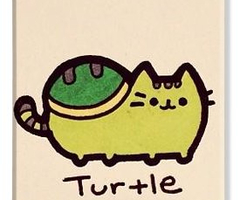 pusheen turtle